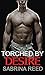 Torched by Desire (Exposed, Damaged, Reborn, #2)