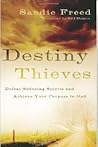 Destiny Thieves