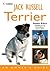 Jack Russell Terrier: An Owner’s Guide