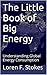 The Little Book of Big Energy: Understanding Global Energy Consumption
