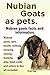 Nubian Goats as pets. Nubian goats facts and information. Nubian goats care, health, milking, keeping, raising, training, play, food, costs and where to buy all included.