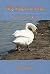 Fifty Shapes of Swan: A Nat...