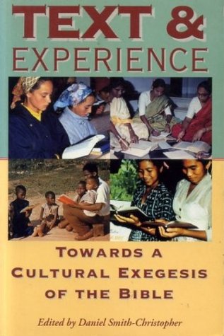 Text And Experience: Towards a Cultural Exegesis of the Bible