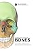 Human Anatomy Flashcards: B...