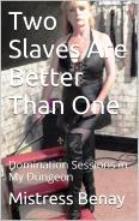 Two Slaves Are Better Than One (Kindle Edition)