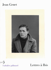 Lettres à Ibis (Paperback)