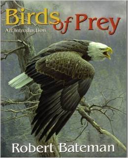 Birds of Prey: An Introduction