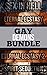 Gay Demons: Bundle 1