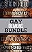 Gay Demons: Bundle 1
