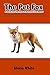 The Pet Fox: A Guide for the New or Potential Pet Fox Owner