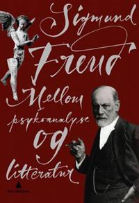 Mellom psykoanalyse og litteratur