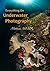 Everything On Underwater Ph...