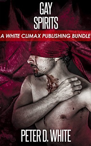 Gay Spirits (Paranormal Erotica Bundle)