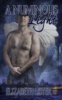 A Numinous Light (The James Lucas Trilogy, #3)