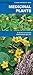 Medicinal Plants: A Folding Pocket Guide to Familiar Widespread Species (A Pocket Naturalist Guide)