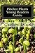 Pitcher Plants Young Readers Guide