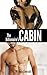 The Billionaire's Cabin (A BWWM Fantasy) (Snowed In Book 1)