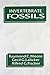 Invertebrate Fossils