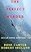 THE PERFECT MURDER ( RYAN COOK MYSTERY # 1 )