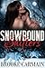Snowbound Shifters