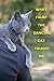 What Faust the Dancing Cat ...