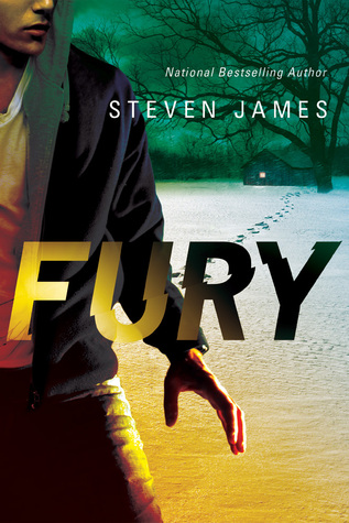 Fury (Blur Trilogy #2)