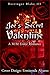 Joe's Secret Valentine by Derringer Blake III