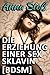 Die Erziehung einer Sex-Sklavin [BDSM] (German Edition)