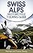 Swiss Alps Motorcycle Touri...