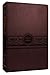 MEV Bible Personal Size Large Print Cherry Brown by Passio