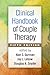 Clinical Handbook of Couple Therapy