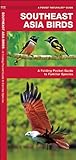 Southeast Asia Birds: A Folding Pocket Guide to Familiar Species (Nature Observation International)