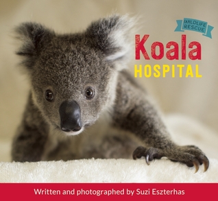 Koala Hospital