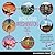 Walking Washington, D.C. 30 treks to the newly revitalized capital's cultural icons, natural spectacles, urban treasures, and hidden gems by Barbara J. Saffir