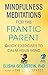 Mindfulness Meditations for the Frantic Parent: The Now Effect