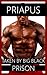Taken By Big Black: Gay Prison Erotica