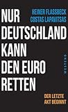 Nur Deutschland kann den Euro retten by Heiner Flassbeck