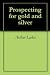 Prospecting for gold and silver