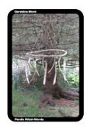 Pendle Witch-Words (Paperback)
