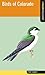 Birds of Colorado (Falcon Field Guide Series)