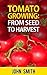 Tomato Growing - From Seed ...