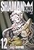 シャーマンキング 完全版 12 (Shaman King: JC Kanzenban, #12)