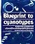 Blueprint to cyanotypes - E...