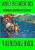 Vikingos en el Imperio Inca (Spanish Edition)