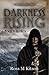 Darkness Rising: Broken (Prism, #5)