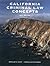 CALIFORNIA CRIM.LAW CONCEPTS 2