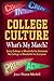 COLLEGE CULTURE by Joyce Slayton Mitchell