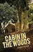 Cabin in the Woods by Deborah Anderson