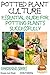 Potted Plant Culture - Essential Guide for Potting Plants Successfully