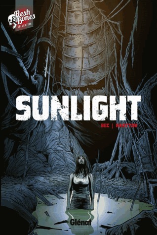 Sunlight (Paperback)